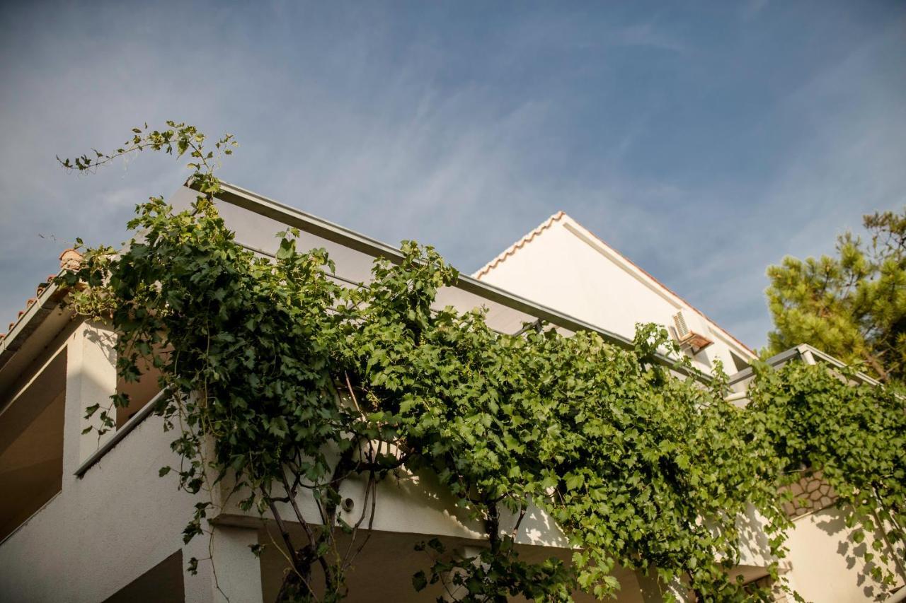 Guesthouse Sime Kolan Exterior photo